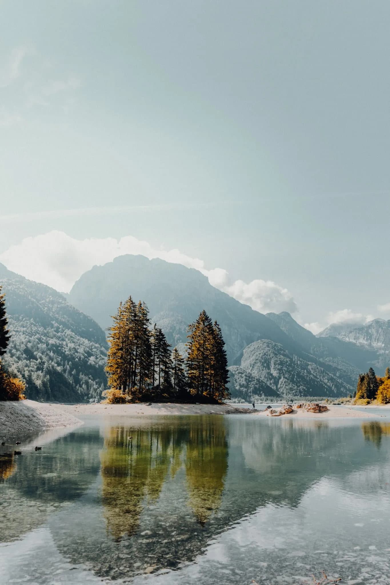 daniel j schwarz Qhnsv Ey2mA unsplash