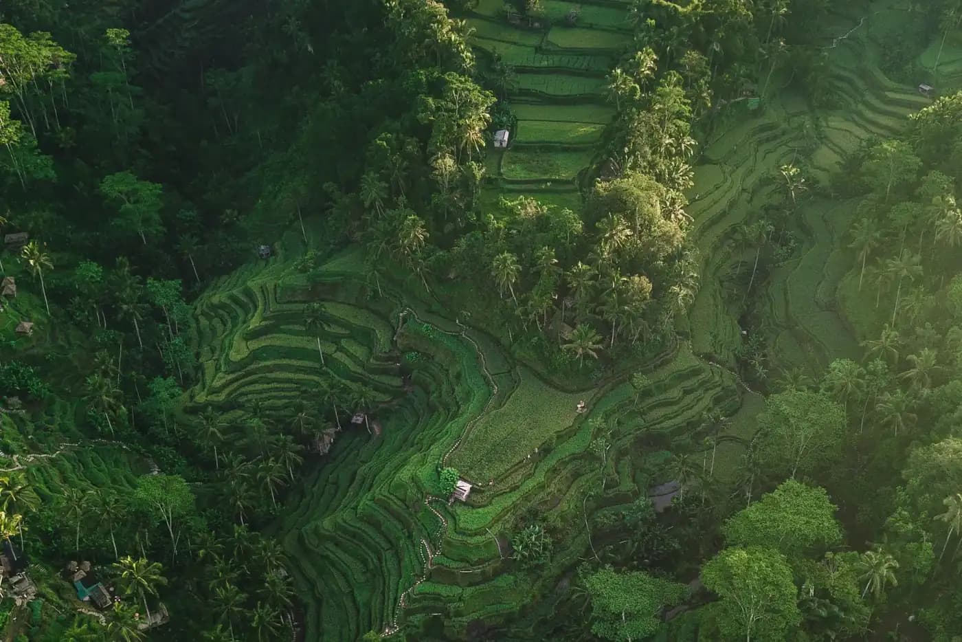 Bali or Thailand for a honeymoon — tropical coastline