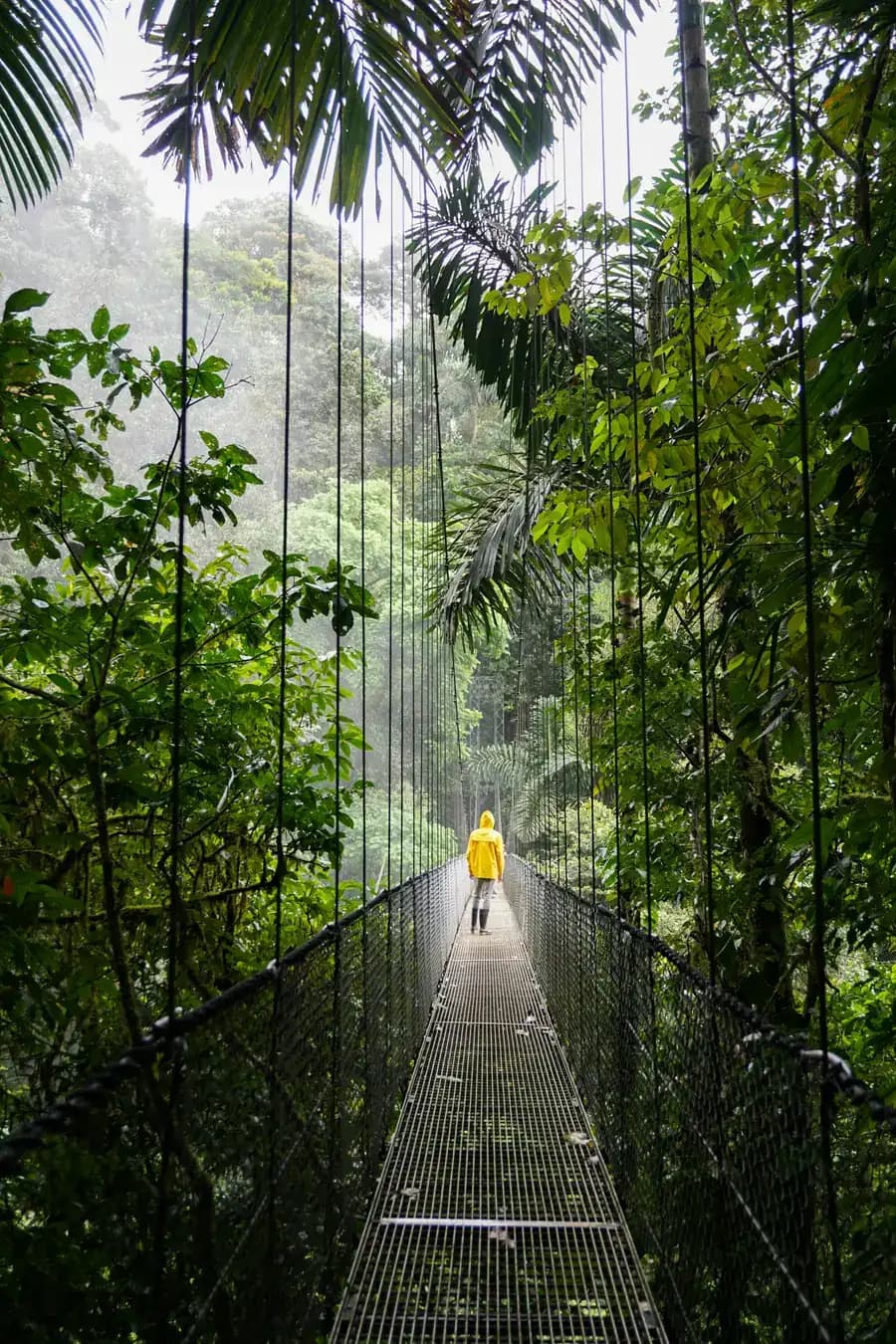 Costa Rica adventure travel — rainforest canopy and volcano