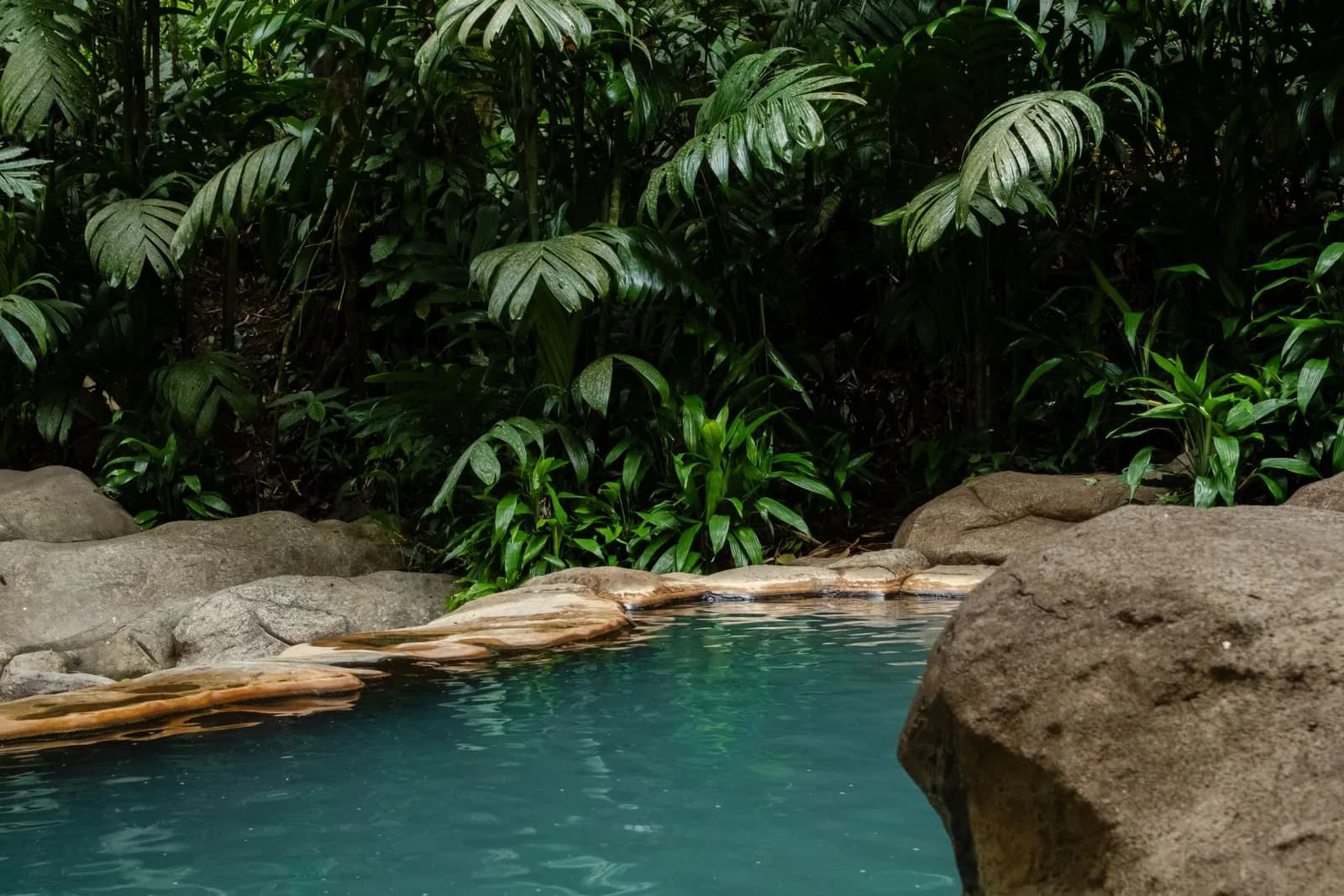 Costa Rica wellness retreat in the Nicoya Blue Zone
