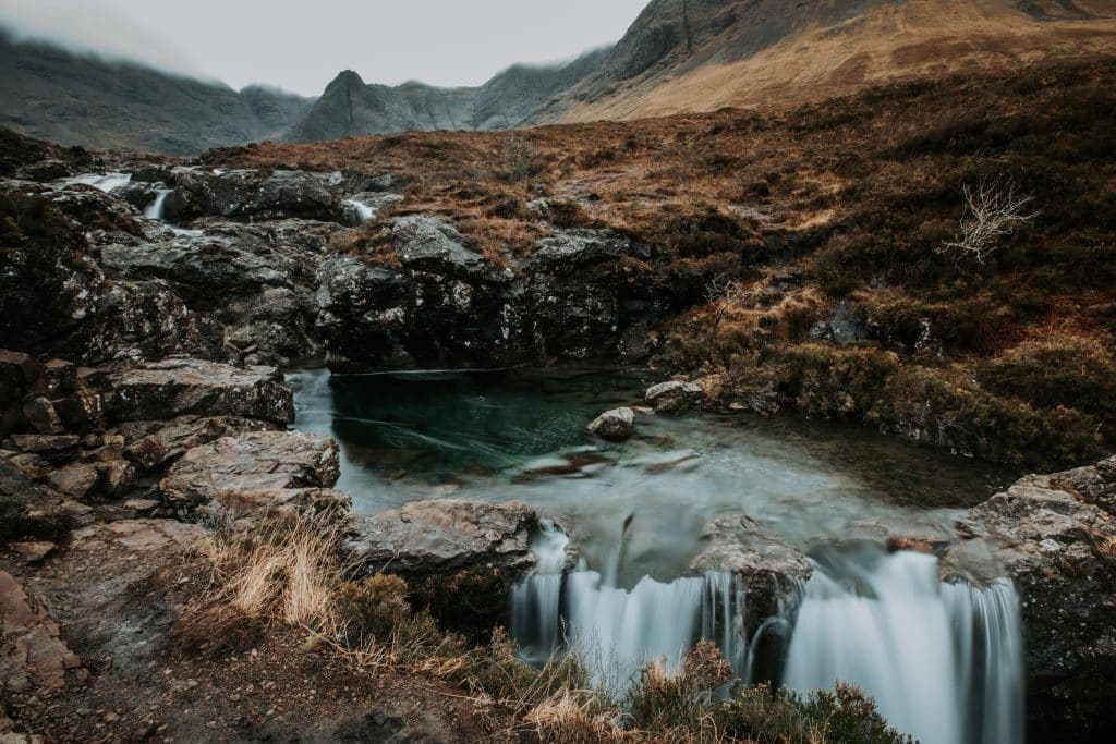 sheng l sYgN5xdx5 4 unsplash