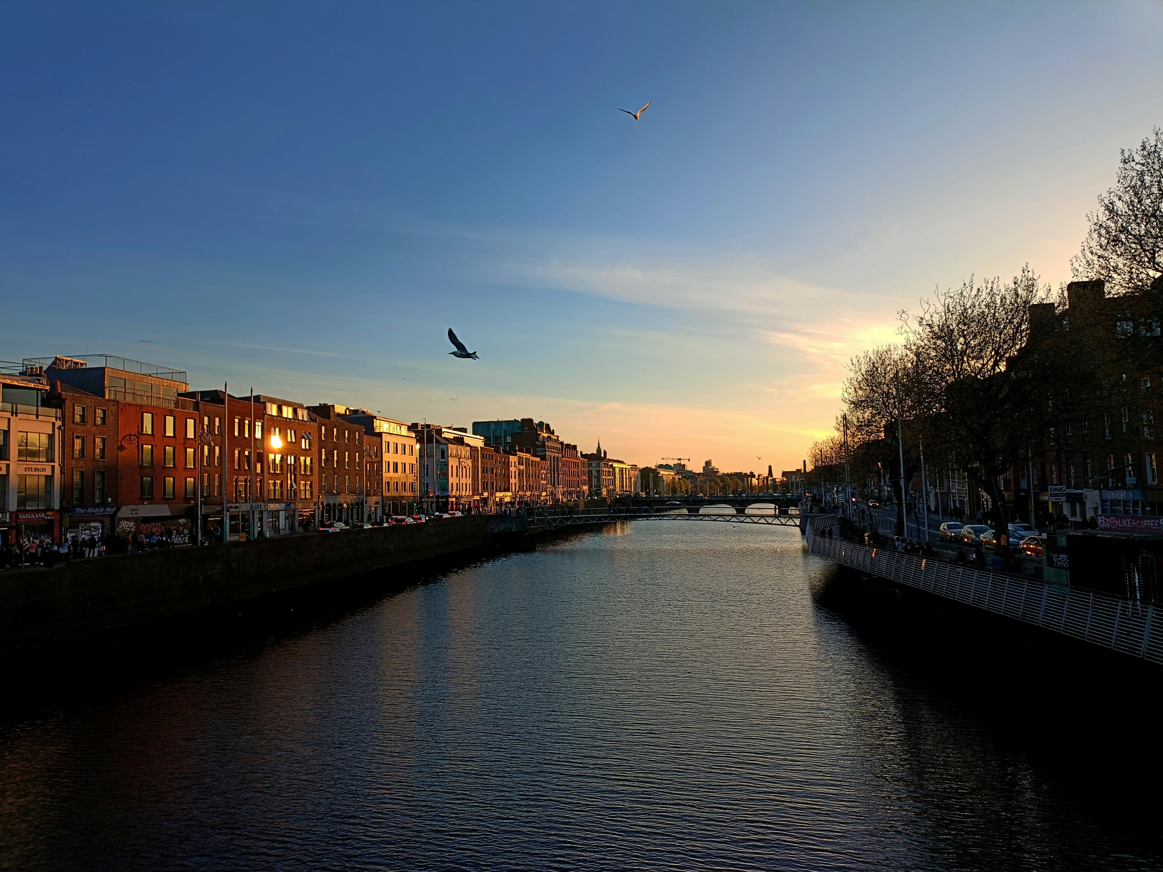 A river flows through Dublin City at sunset, with sunlight reflecting off colorful buildings on the left. Trees line both banks, birds fly overhead, and a bridge spans the river in the background under a clear sky—a perfect Dublin City Package scene.