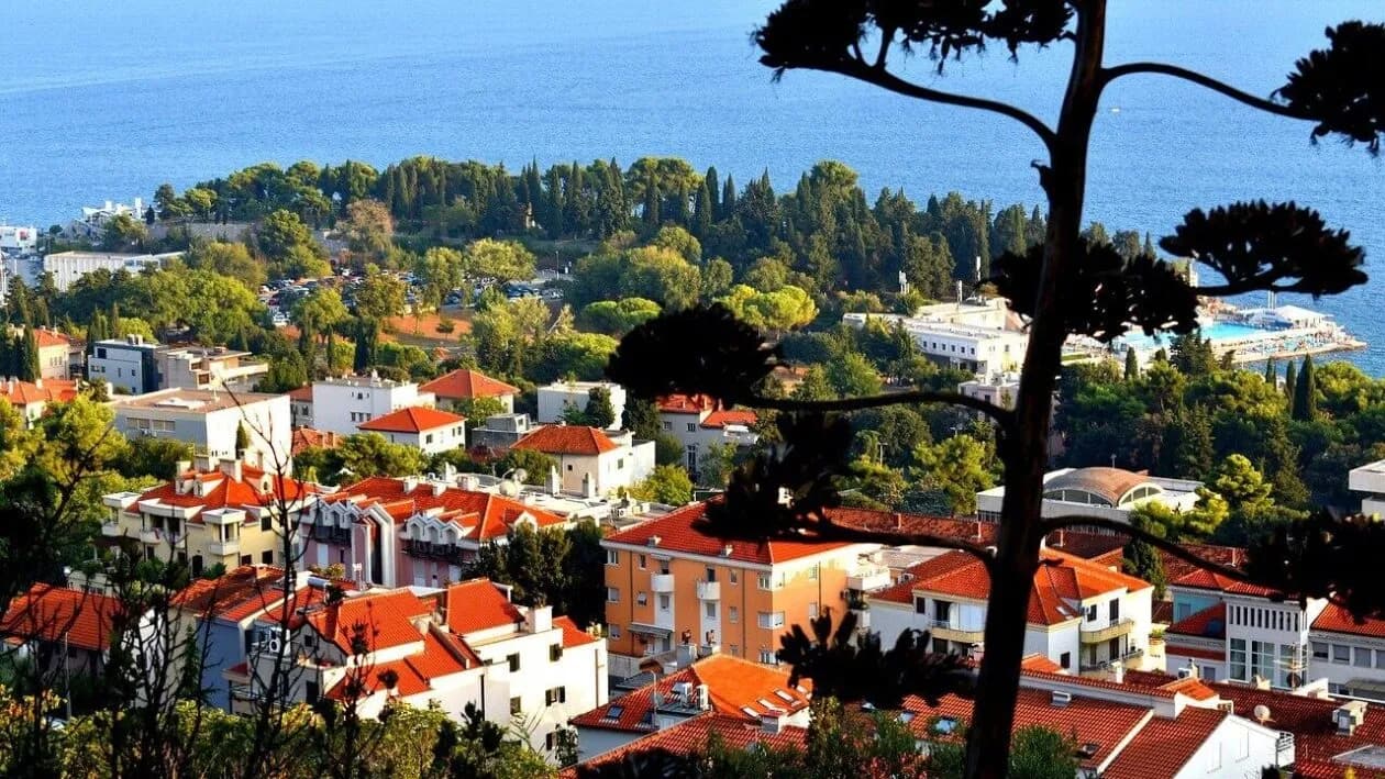 A coastal town with red-roofed houses and green trees, bordered by the blue sea, captures the Highlights of Croatia: Mainland to Coast. A tall plant with sparse leaves stands in the foreground, partly obscuring this calm and sunlit scene.