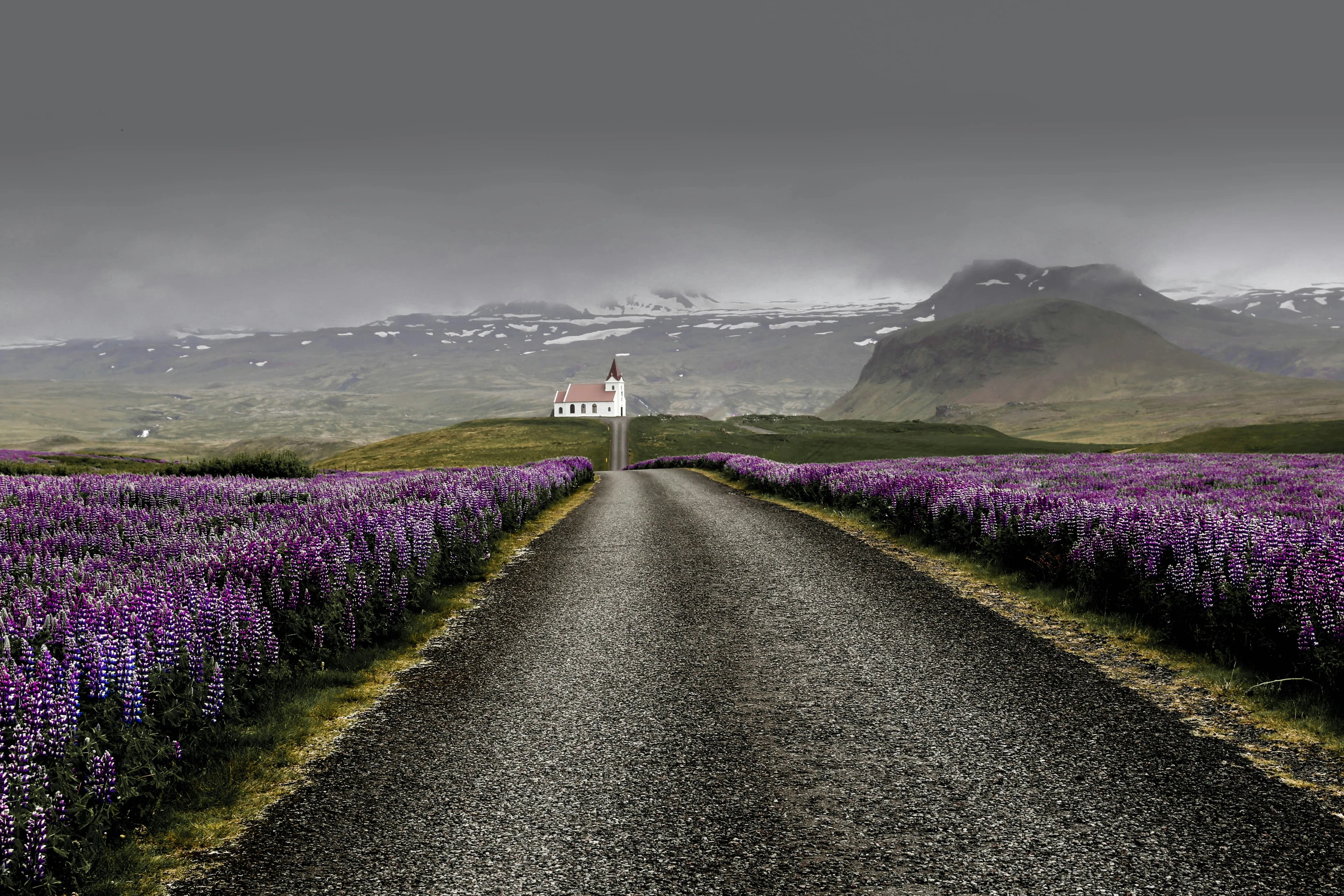 A gravel road lined with purple lupine flowers leads to a white church with a red roof, set against misty mountains and a cloudy sky—an enchanting scene perfect for those seeking Spain and Portugal Honeymoon Packages.