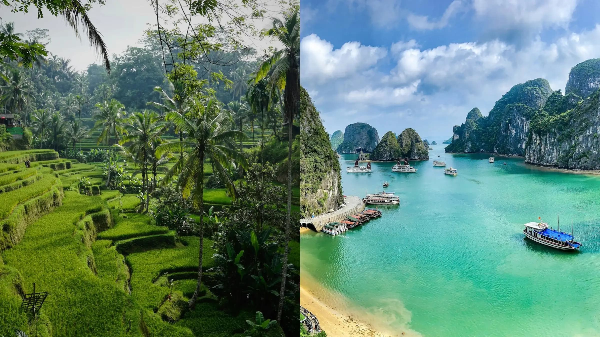 Side by side: terraced green rice paddies and palms in Bali on the left, limestone karsts and moored boats in the turquoise water of Ha Long Bay on the right.
