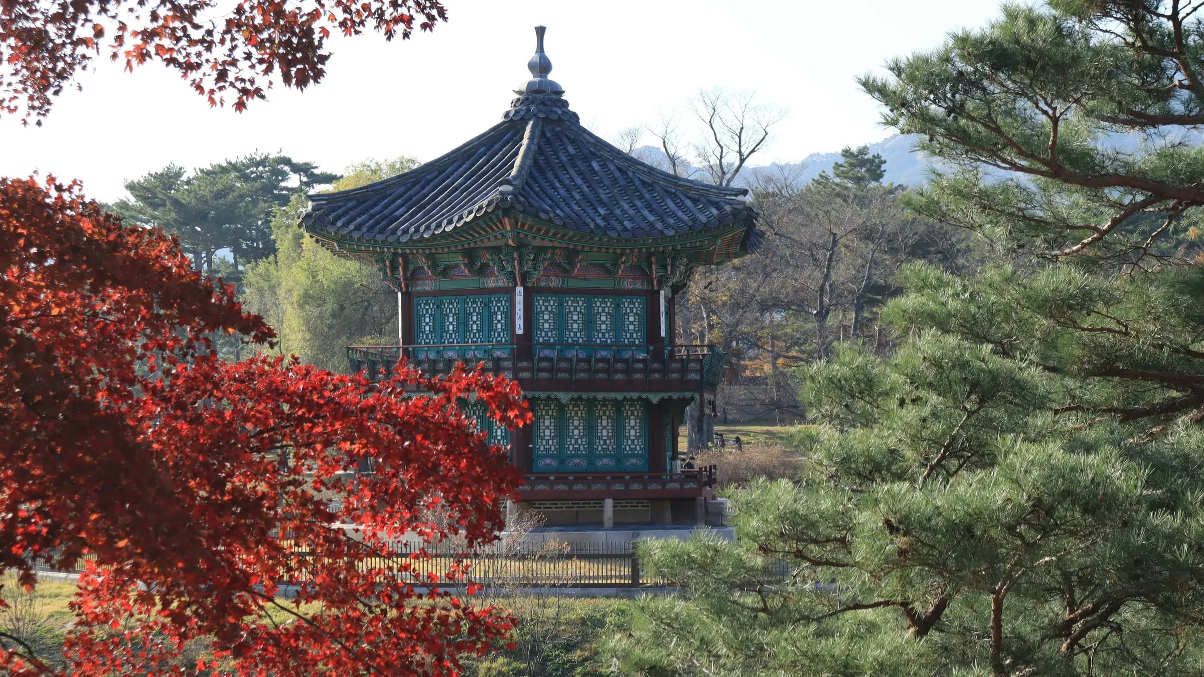 A traditional Korean pavilion framed by red autumn maple leaves and pine trees.