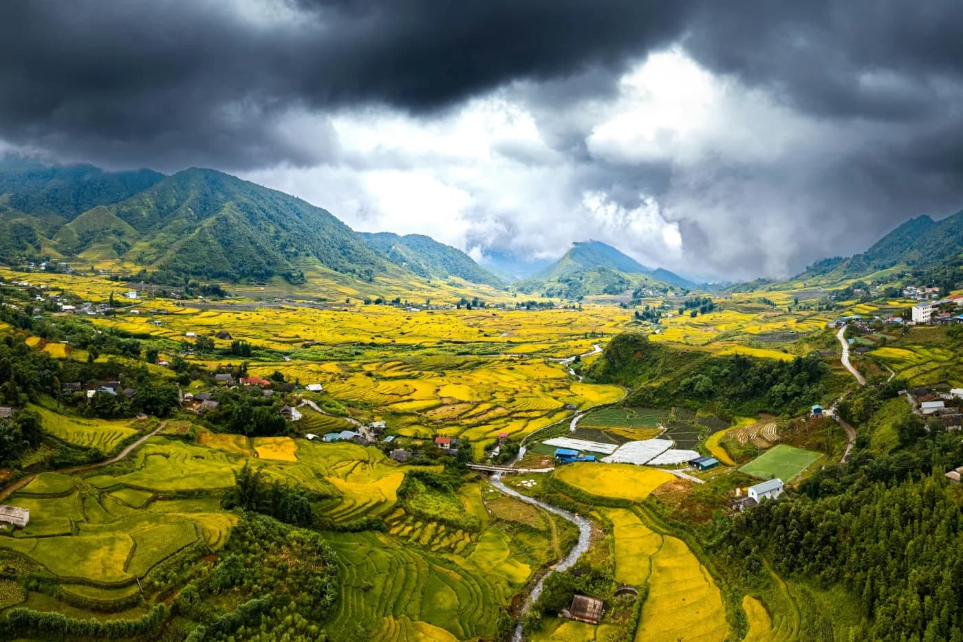 Golden rice terraces layered across mountains in Sapa, northern Vietnam