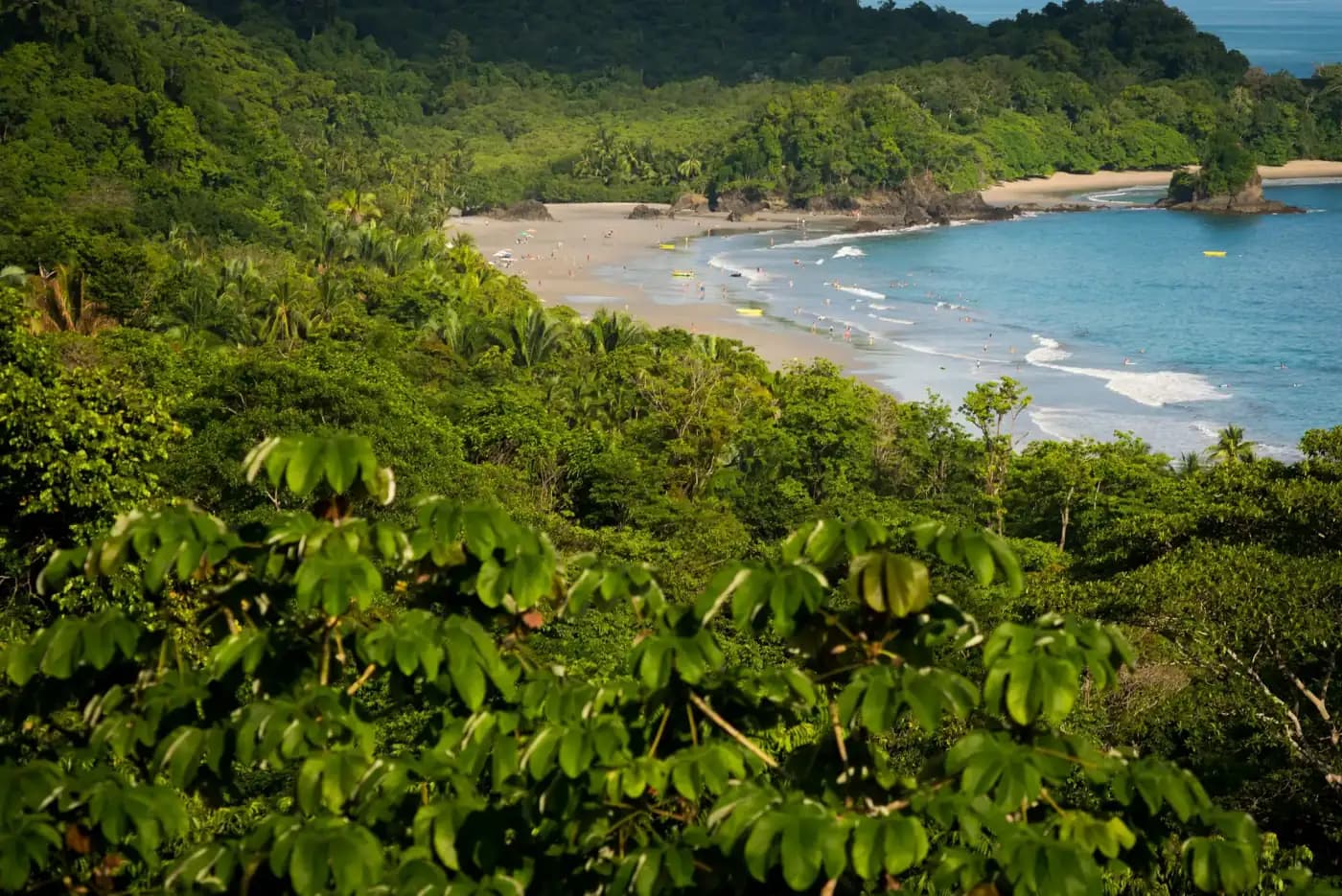 Costa Rica trip cost — rainforest coastline
