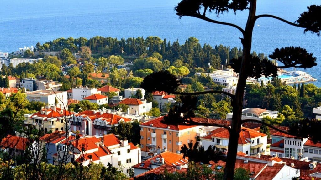 A coastal town with red-roofed houses and green trees, bordered by the blue sea, captures the Highlights of Croatia: Mainland to Coast. A tall plant with sparse leaves stands in the foreground, partly obscuring this calm and sunlit scene.