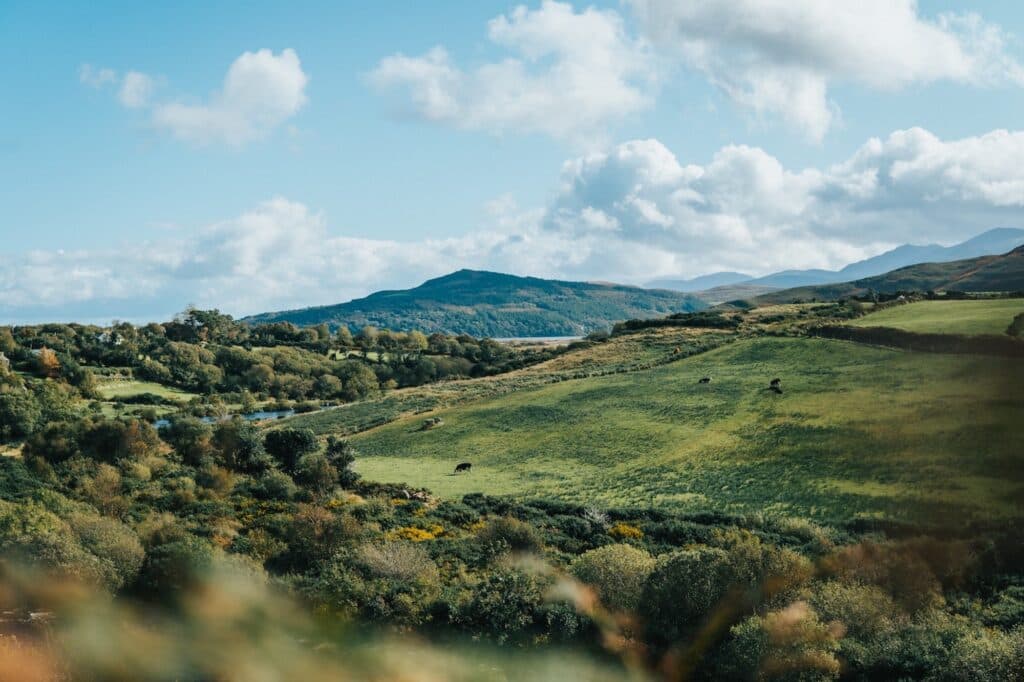 jean carlo emer 6sDmwO4 D8 unsplash