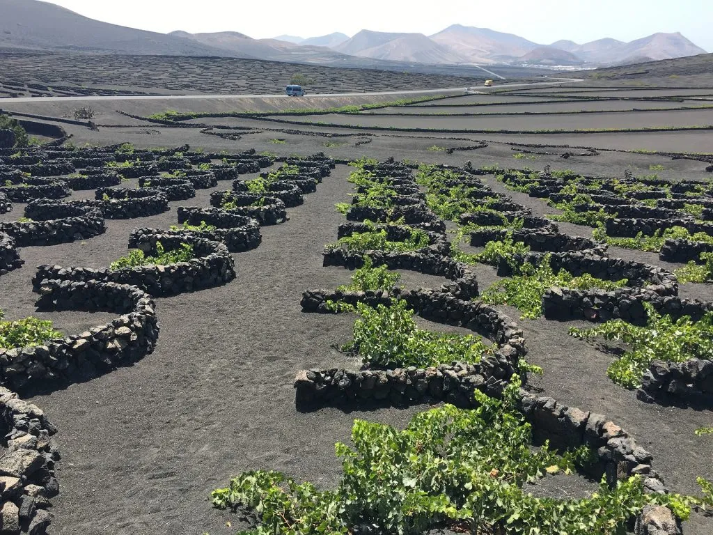 la geria gfde79dafa 1920 spain winery