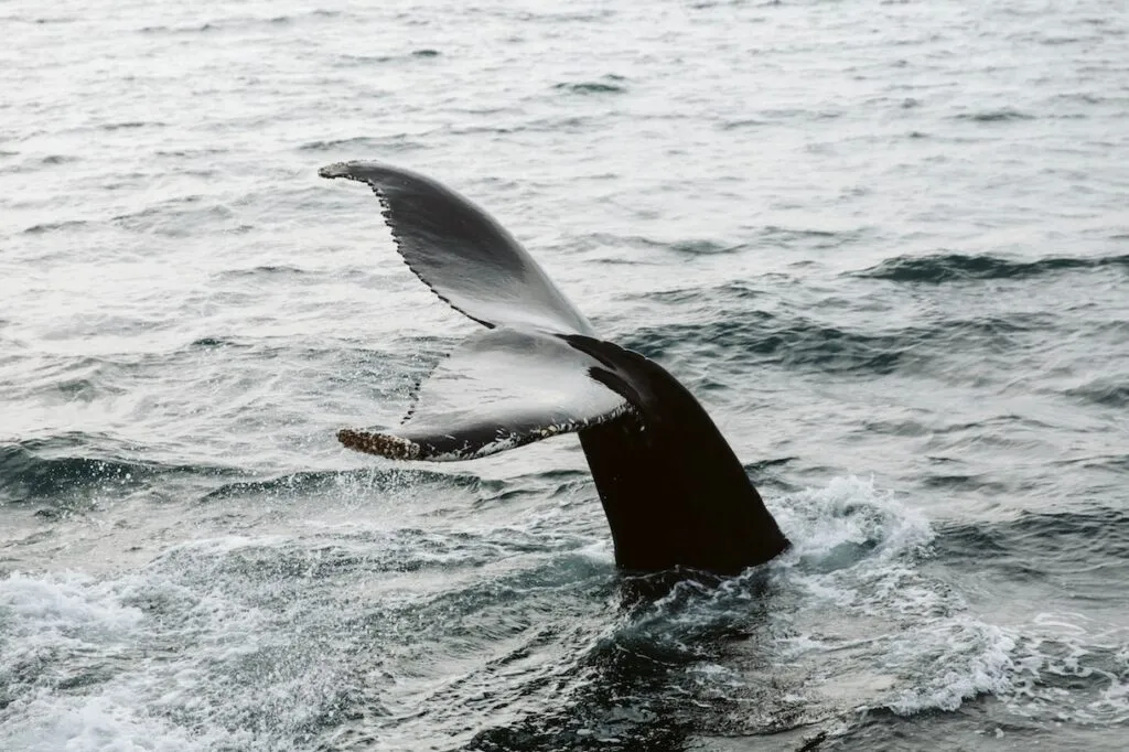 kristina delp 5U3pfzNEklQ unsplash