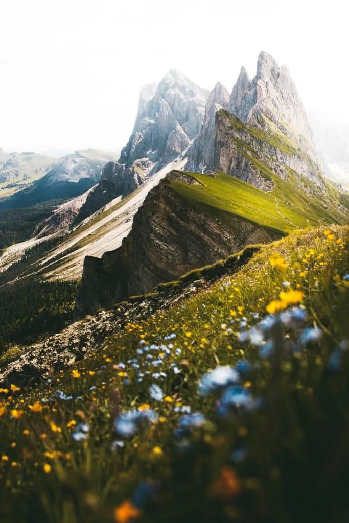 daniela kokina hOhlYhAiizc unsplash