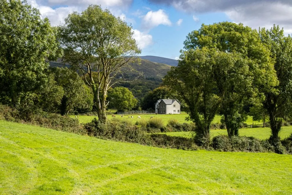 Scenic Countryside Landscape in Kenmare, Ireland