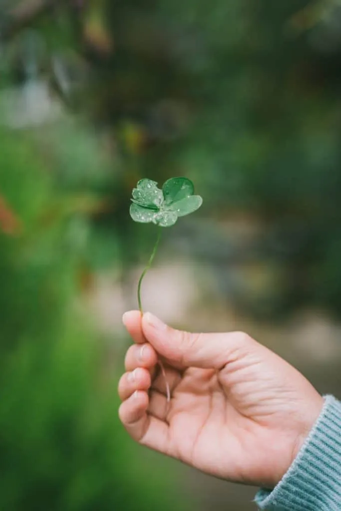 harris vo tv 9EmBJ1uk unsplash