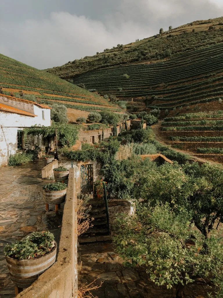 veronika jorjobert 2502K1m5dnM unsplash