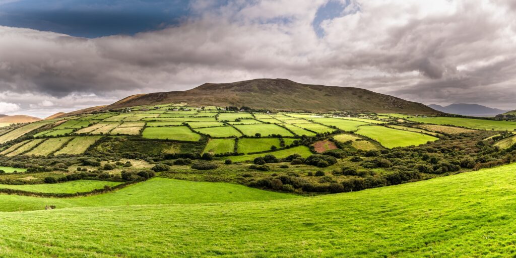 Green Grassy pastures in Dingle