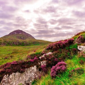  Explore the Emerald Isle
