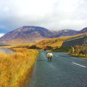 Self Drive Tour of Ireland