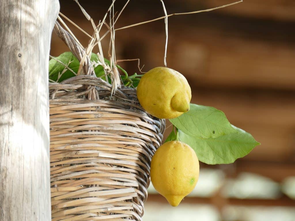 italian lemons