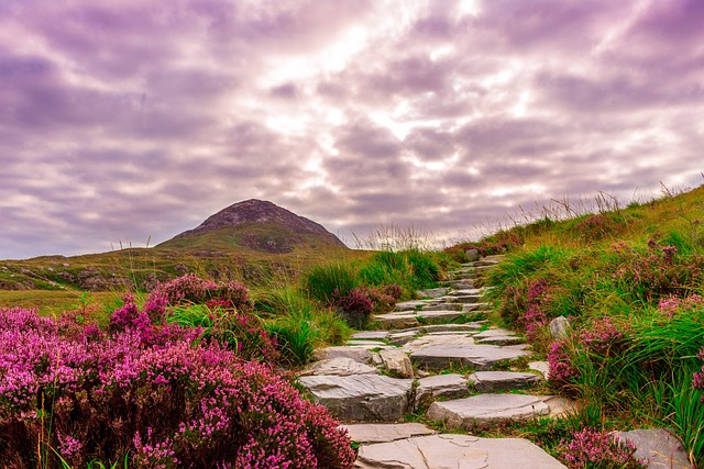 Best of Ireland — 10-day custom itinerary