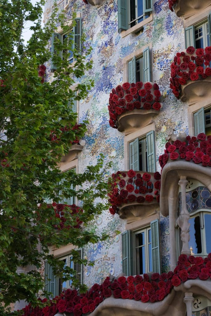 Red Roses Decorated on Balconies of a Building in Spain