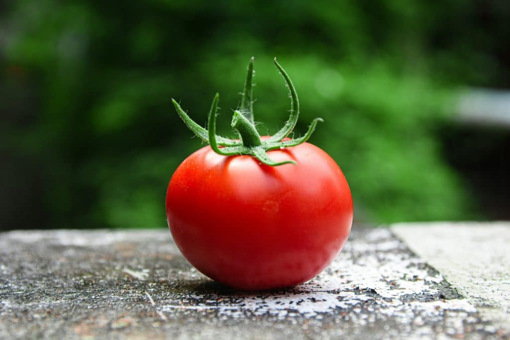 Tomato on top of surface outside