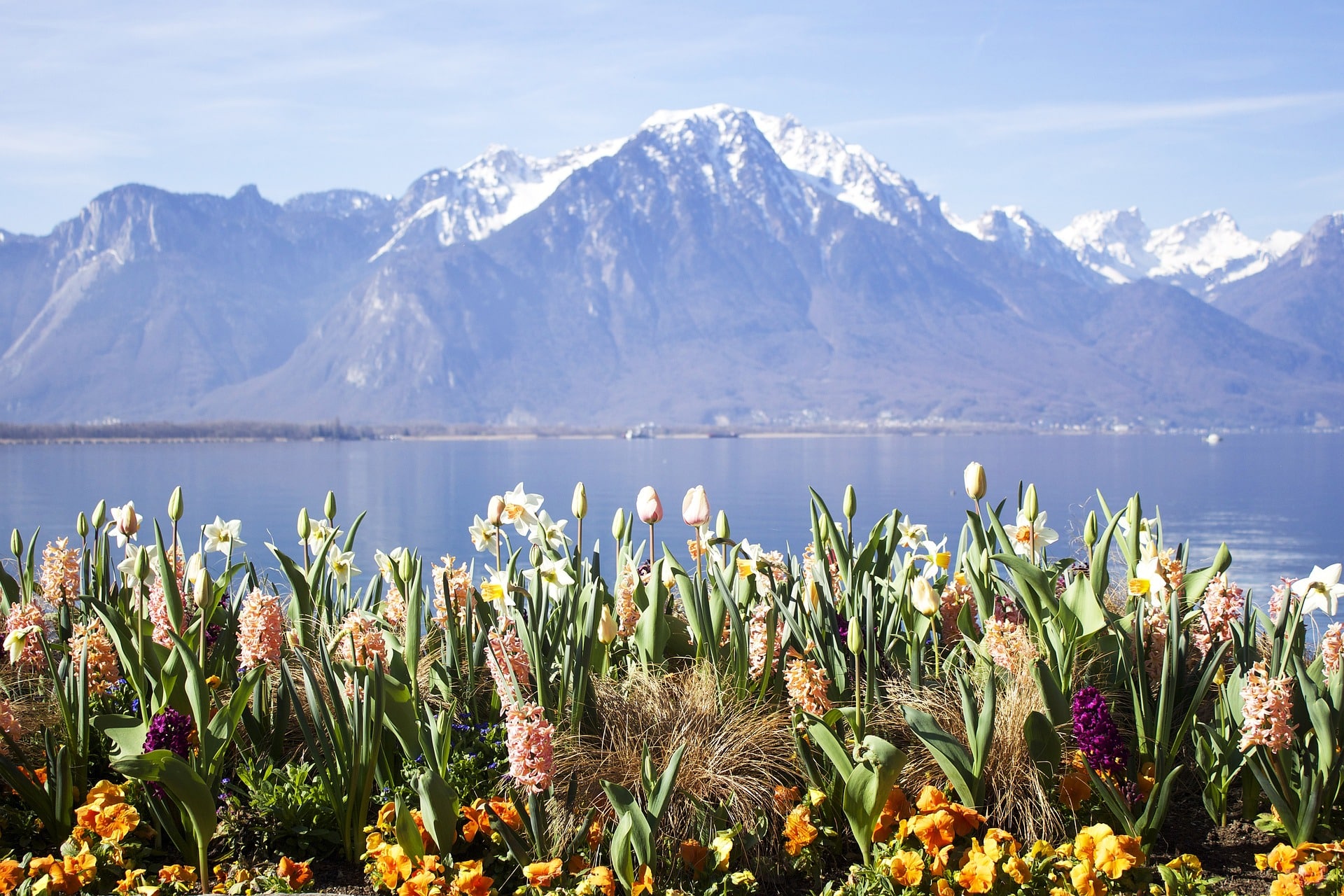 Montreux, Switzerland Flower background image