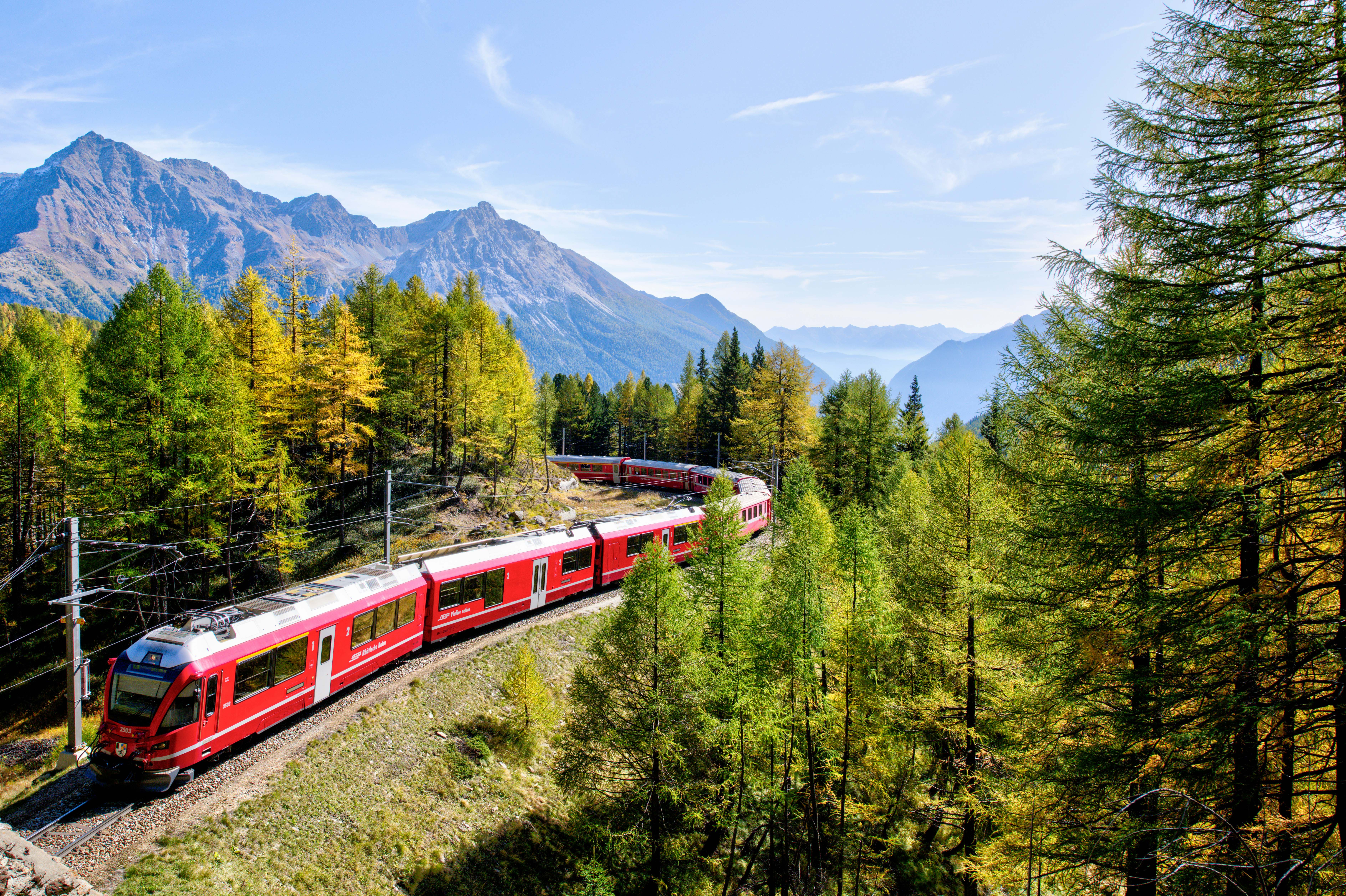 A red train travels through a lush green forest with tall trees, curving along tracks like the intensity of Vikings vs Steelers 2025, with mountains in the background under a clear blue sky.