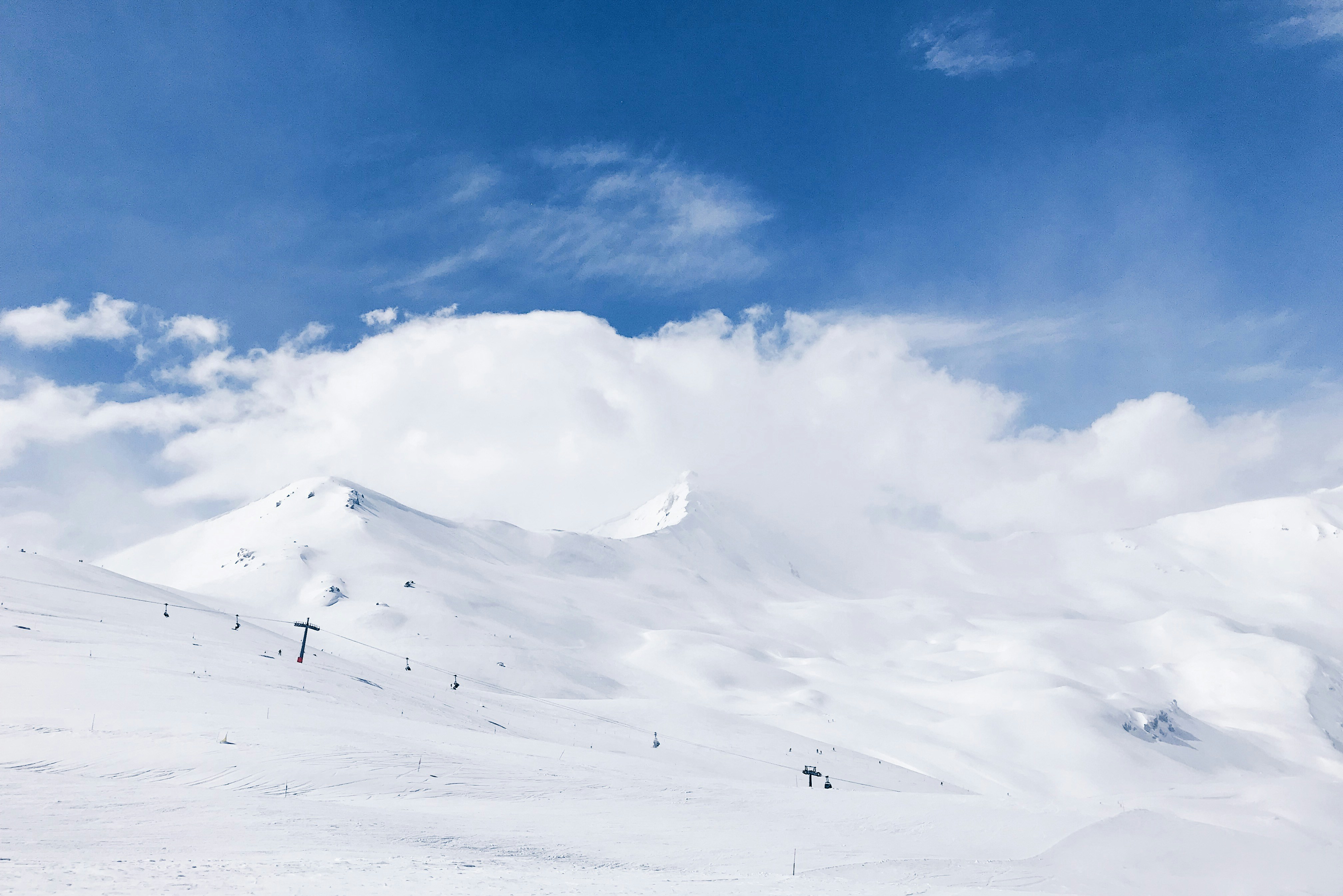 max kukurudziak 8pUIc6Ib3sQ unsplash