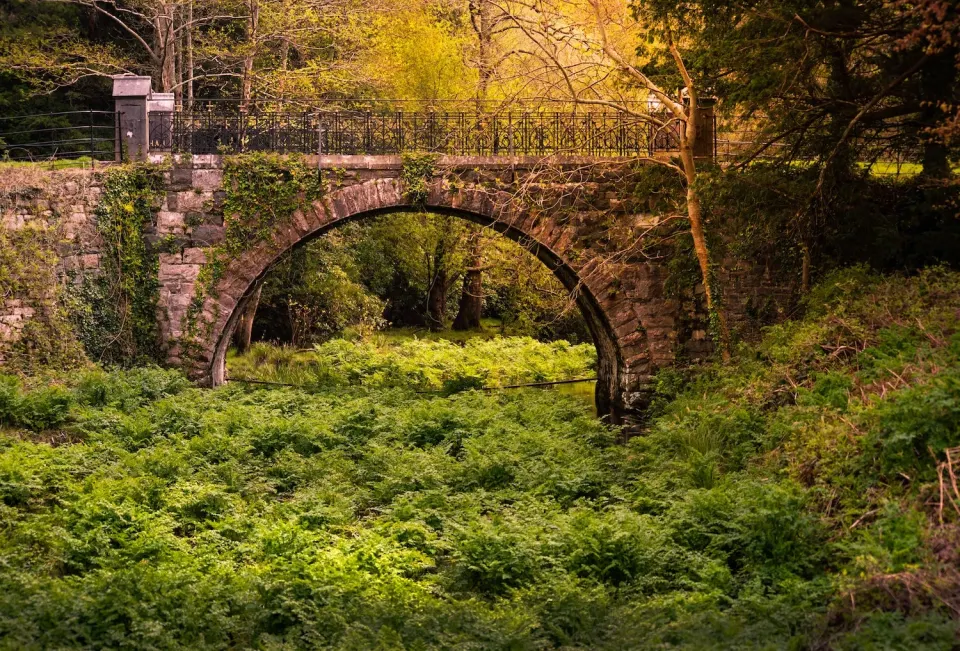 Self Drive Tour Ireland 9 days — Juniper Tours