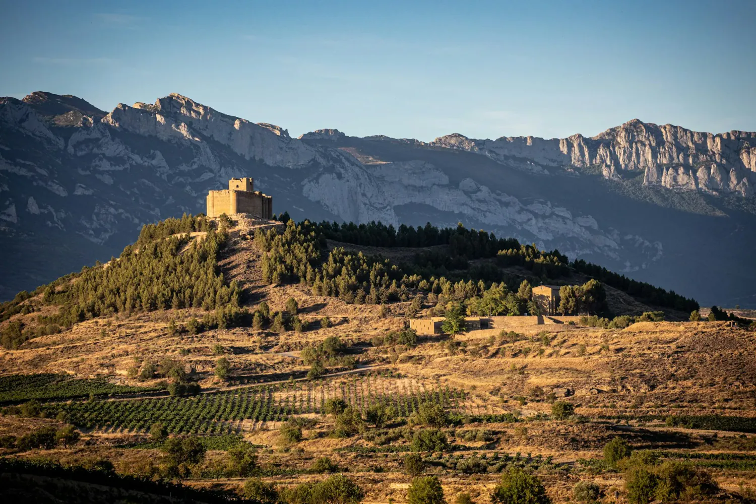 La Rioja vineyards — Spain honeymoon