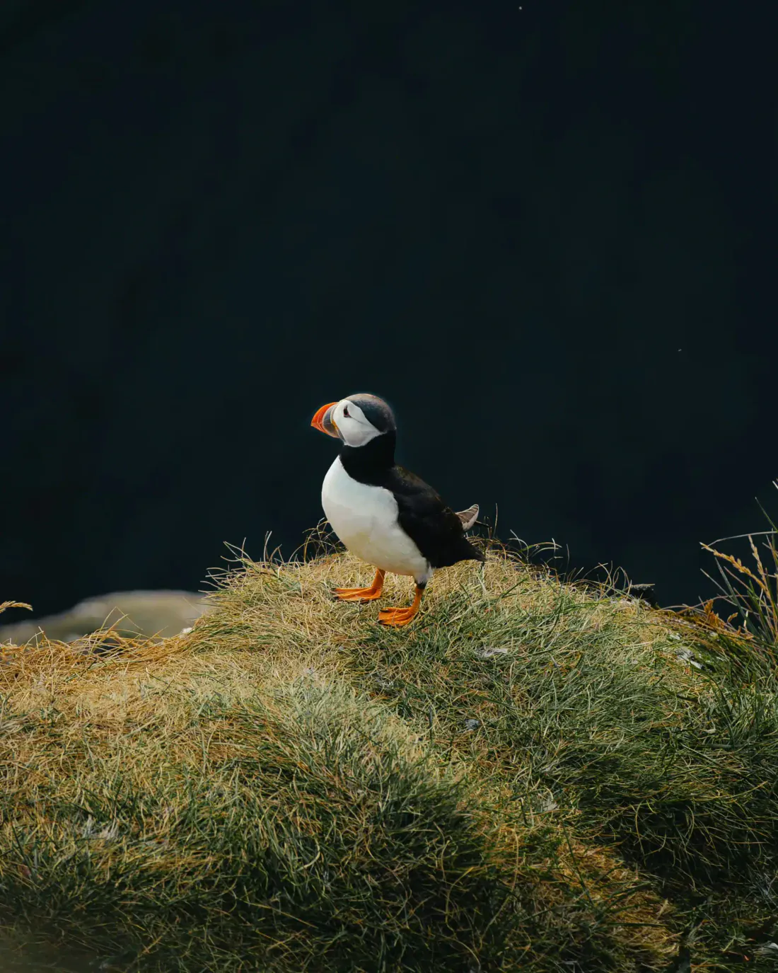 Iceland Highlands Expedition tour — Juniper Tours