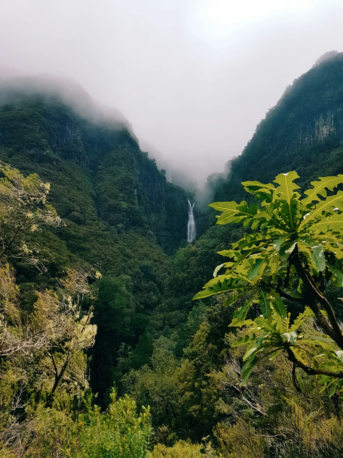 Madeira & Azores — Portugal honeymoon