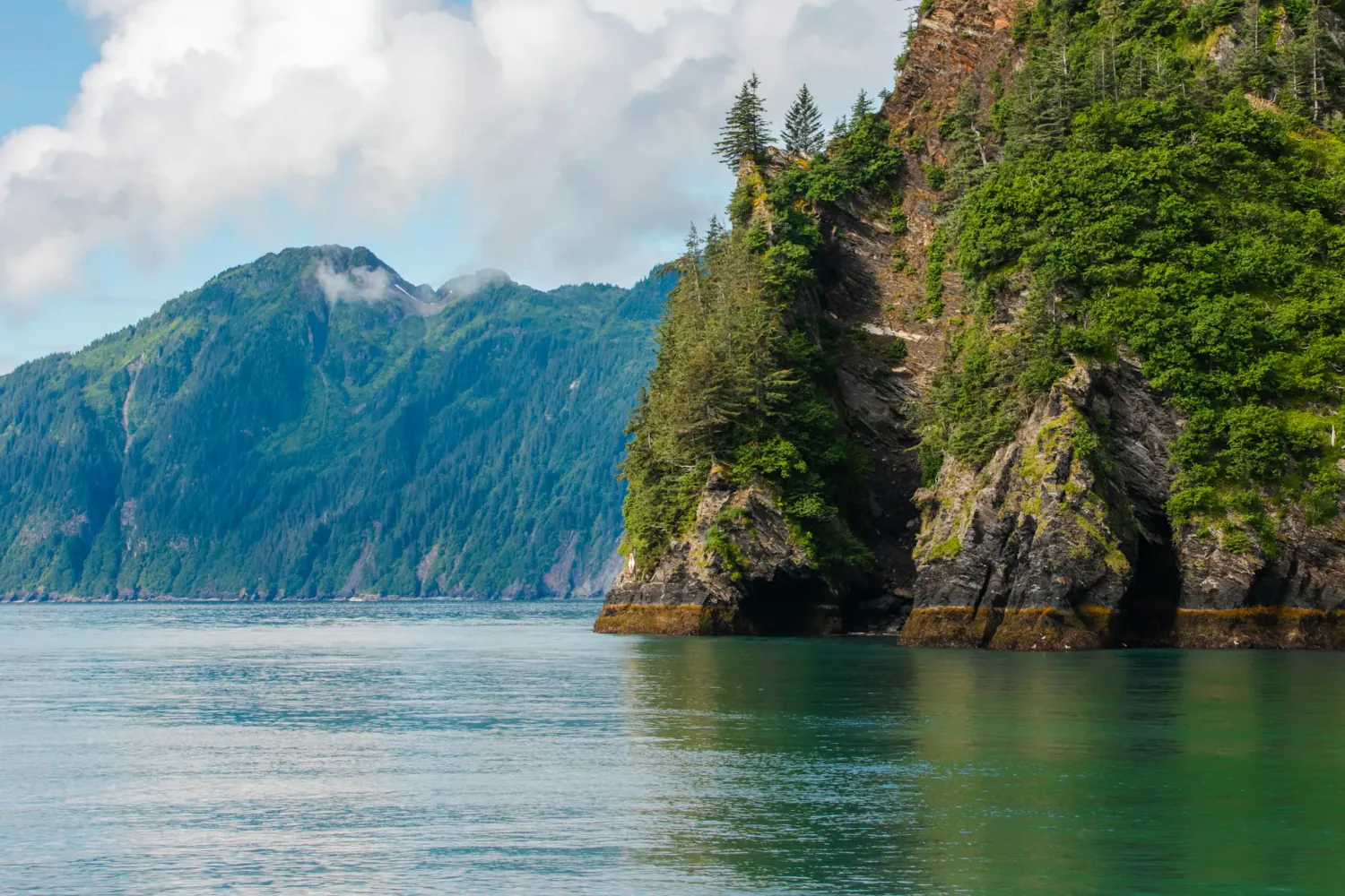 Kenai Fjords and coastal wildlife custom Alaska tour — Juniper Tours