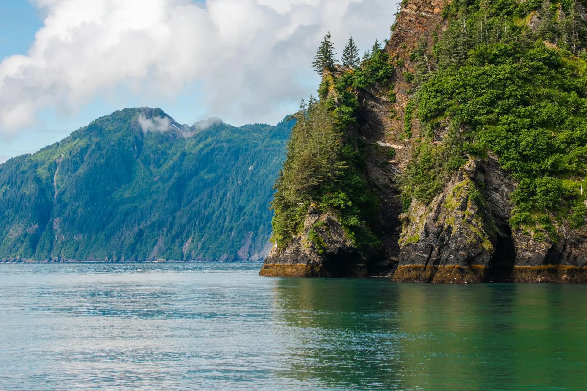 Kenai Fjords and coastal wildlife custom Alaska tour — Juniper Tours