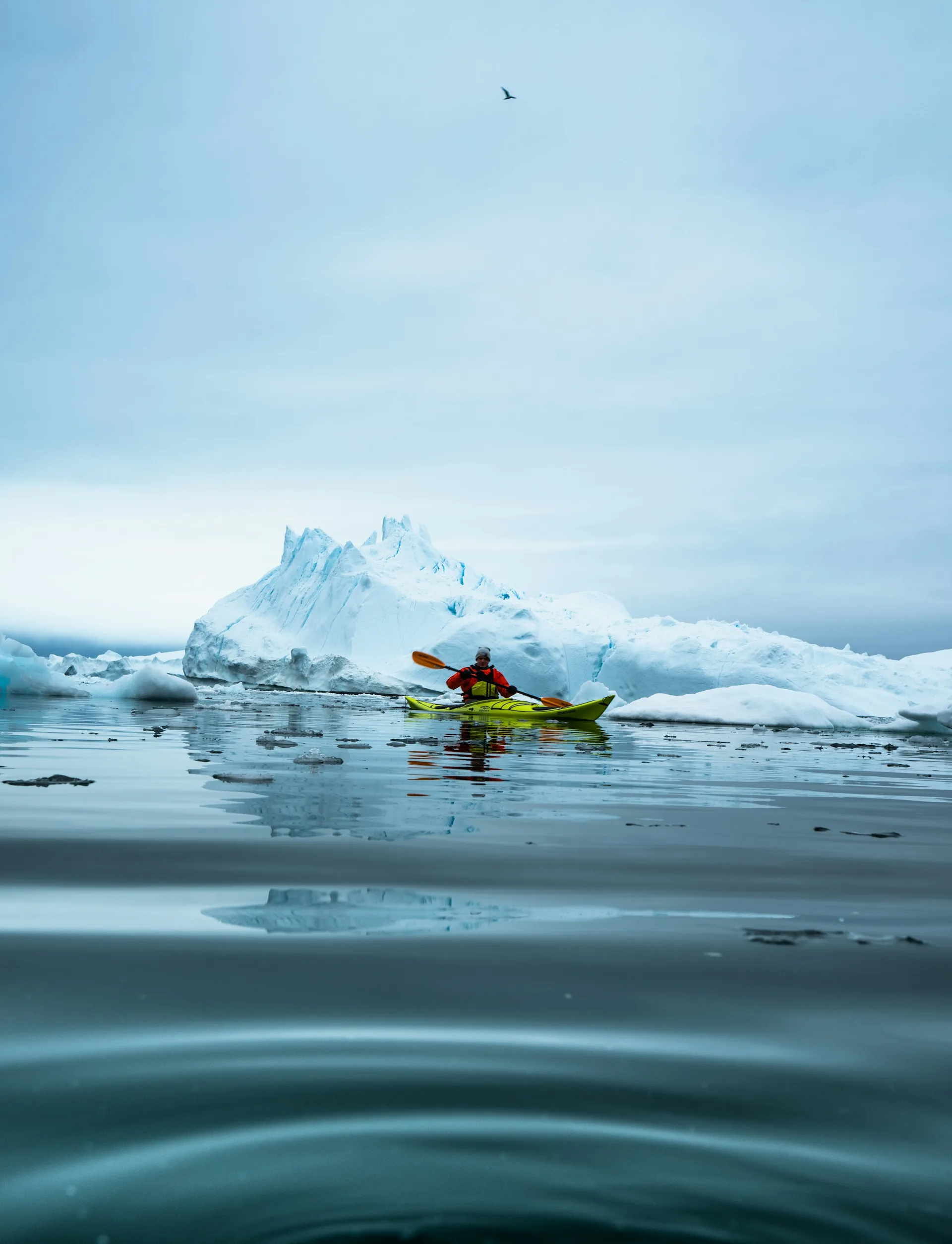 Afternoon sea kayaking among the icebergs
