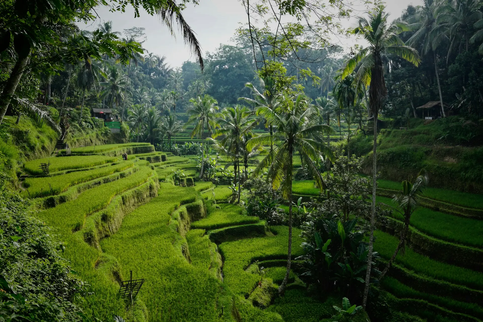 Bali Off the Beaten Track 14-day tour — Juniper Tours