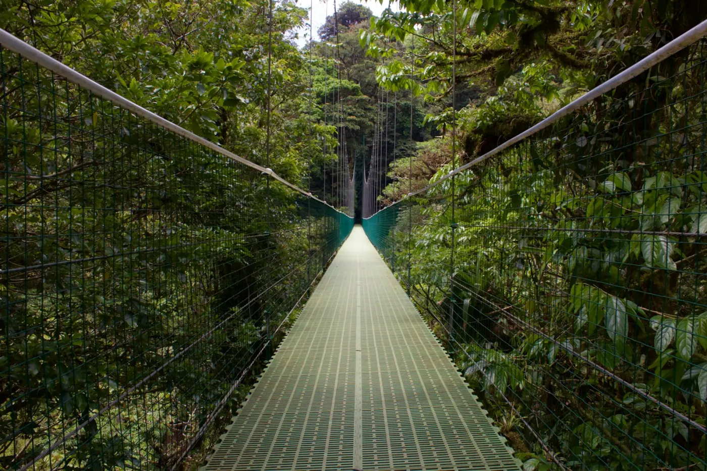 Cloud forests and Pacific coast Costa Rica honeymoon