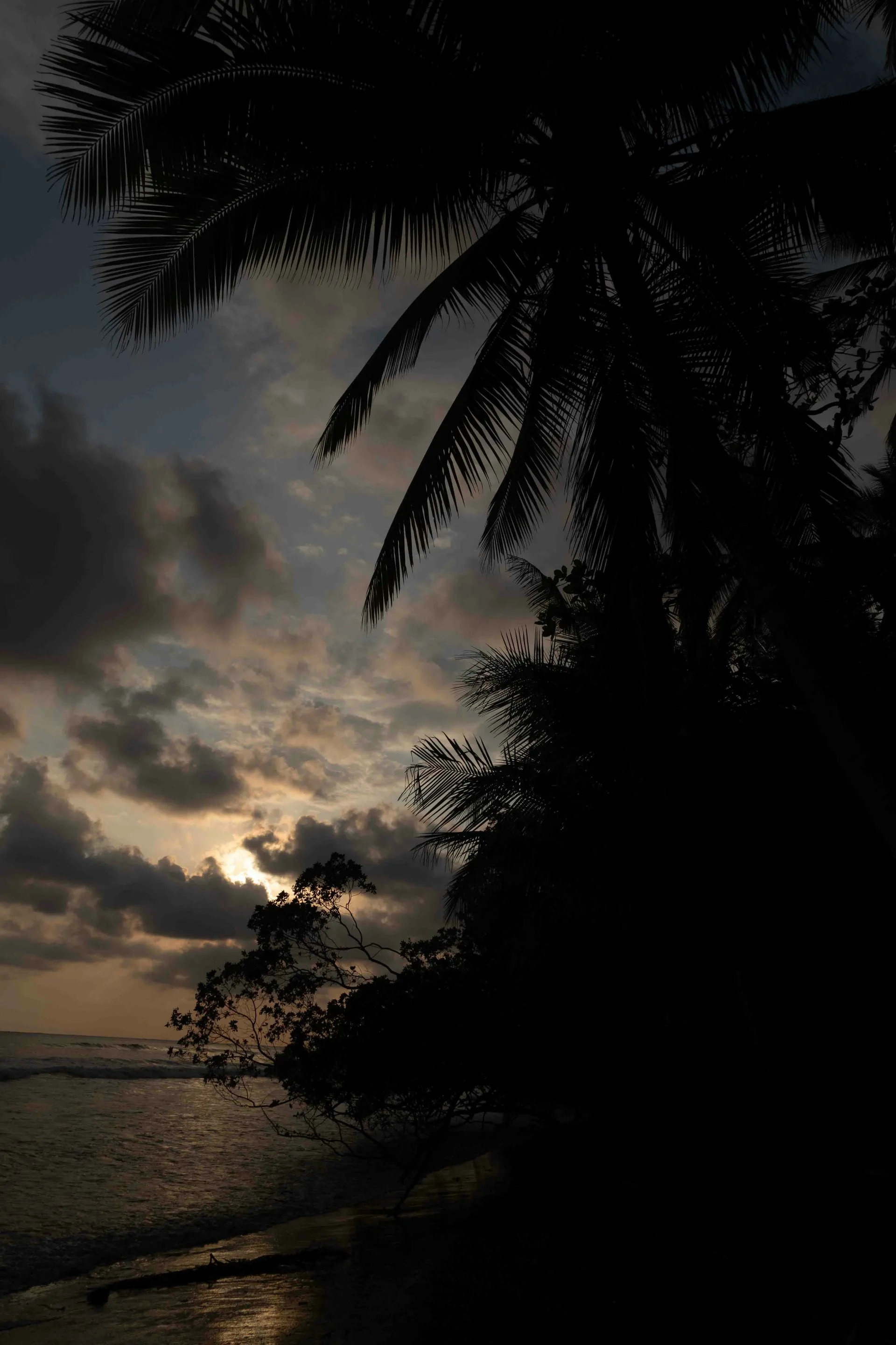 Cloud forests and Pacific coast Costa Rica honeymoon