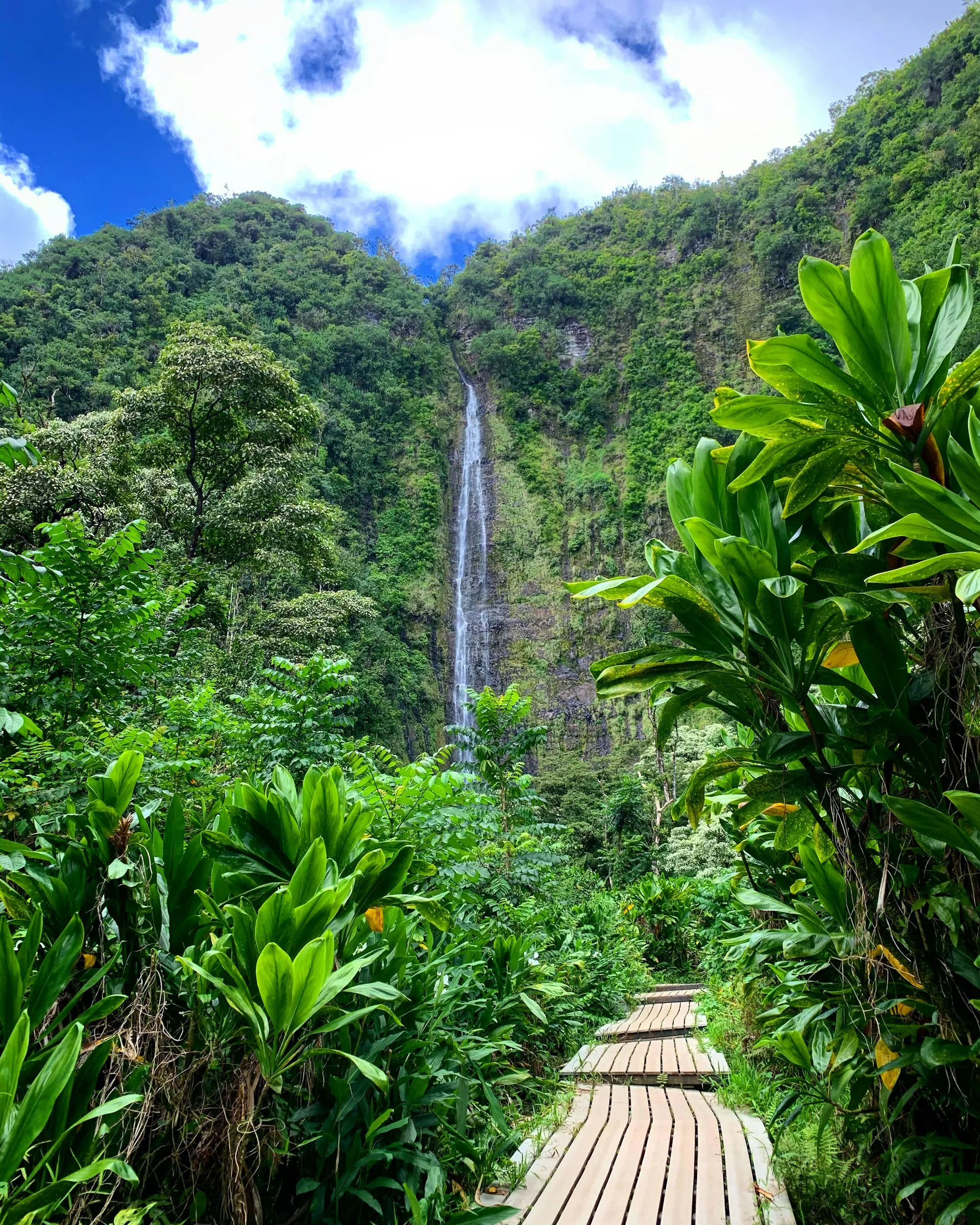 Afternoon at a Hawaii rainforest waterfall on the Road to Hāna
