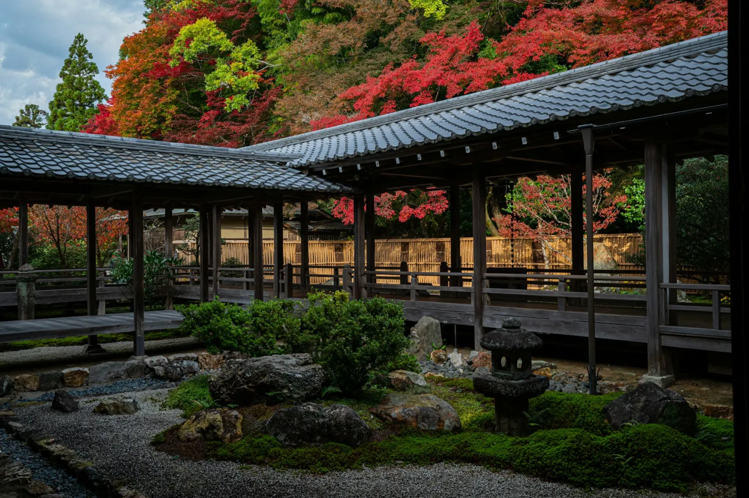 A Kyoto temple garden framed by red autumn maples