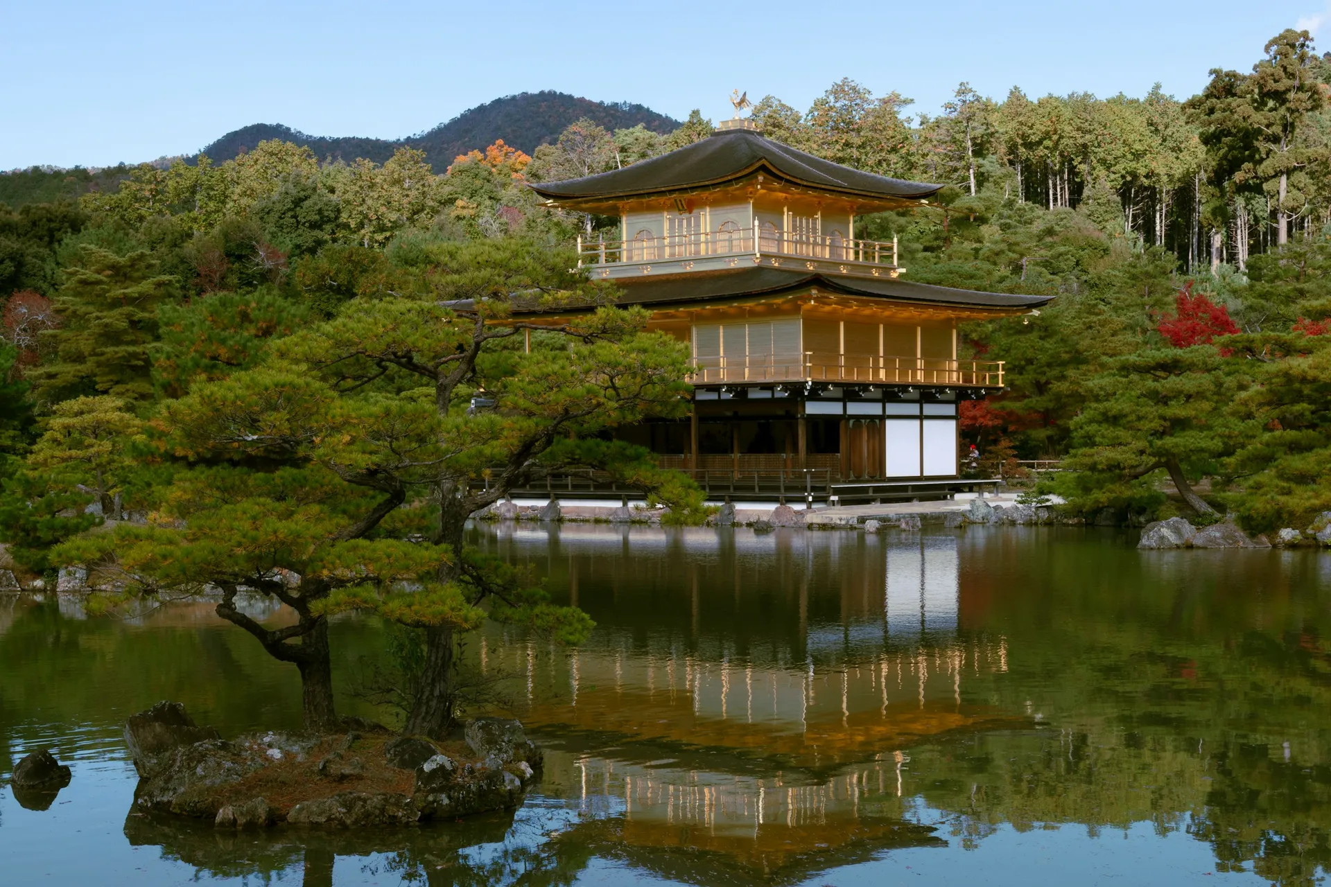 Best of Japan & South Korea 12-day tour — Juniper Tours