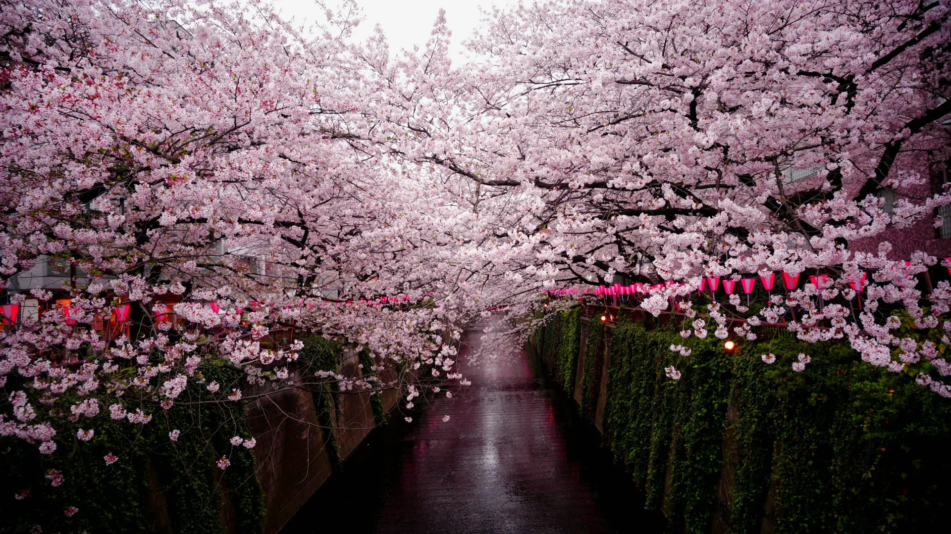 Luxury Japan Honeymoon 10-Day Tour
