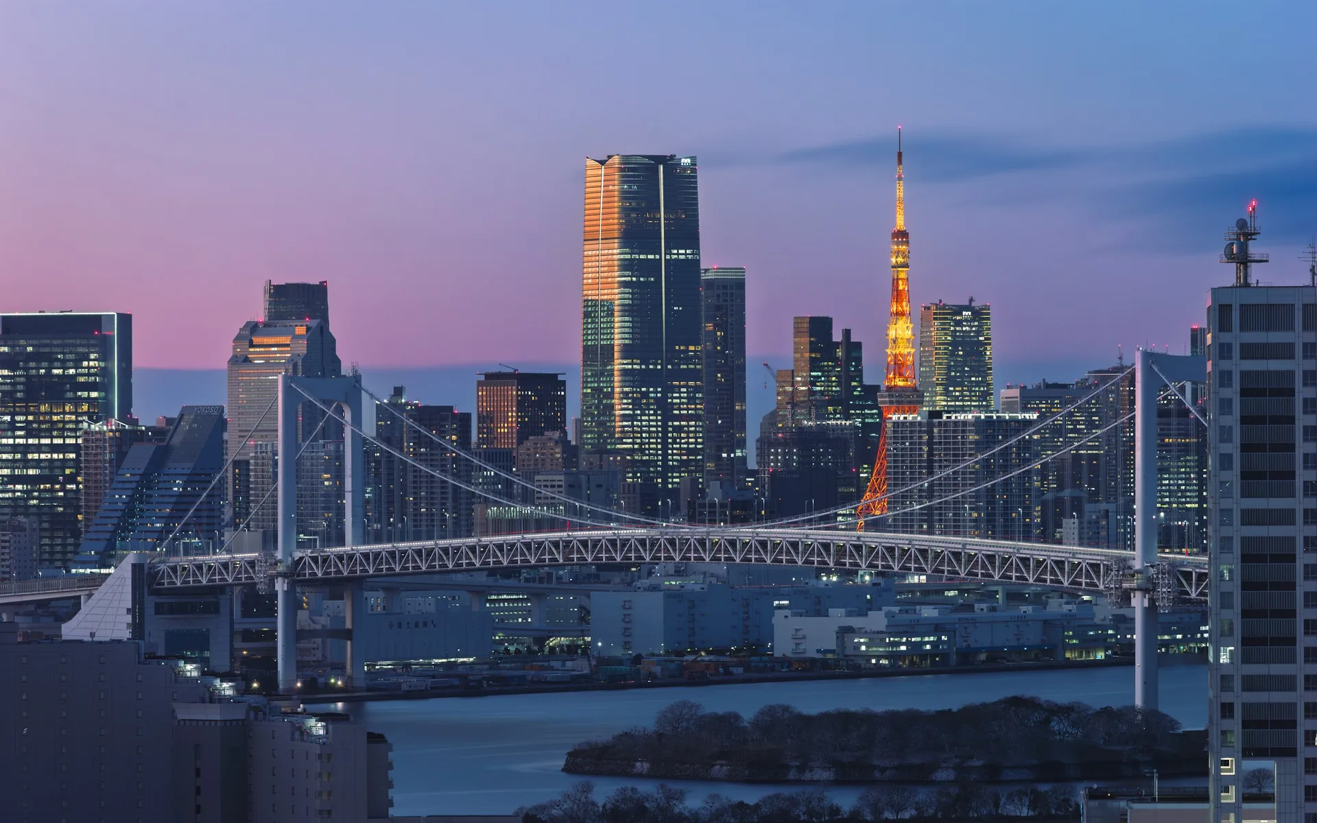 Evening in Tokyo
