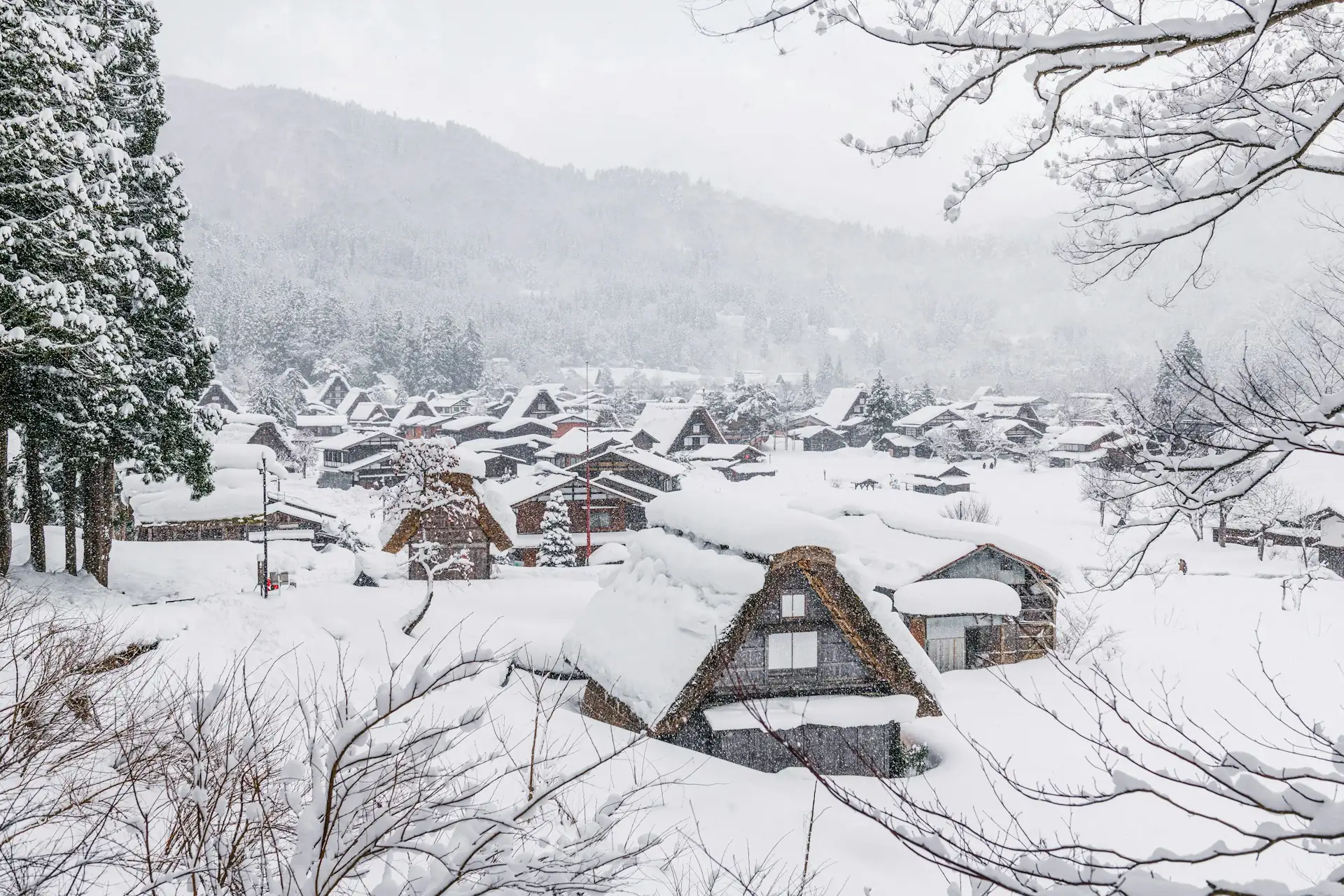 Japan Winter Wonderland 14-Day Tour
