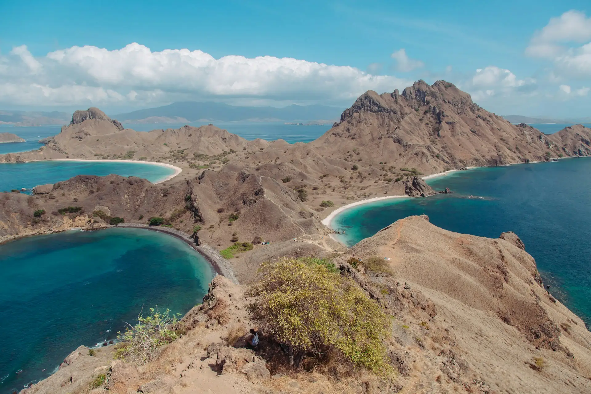 Wild Indonesia 21-day Java, Borneo, Bali & Komodo tour — Juniper Tours