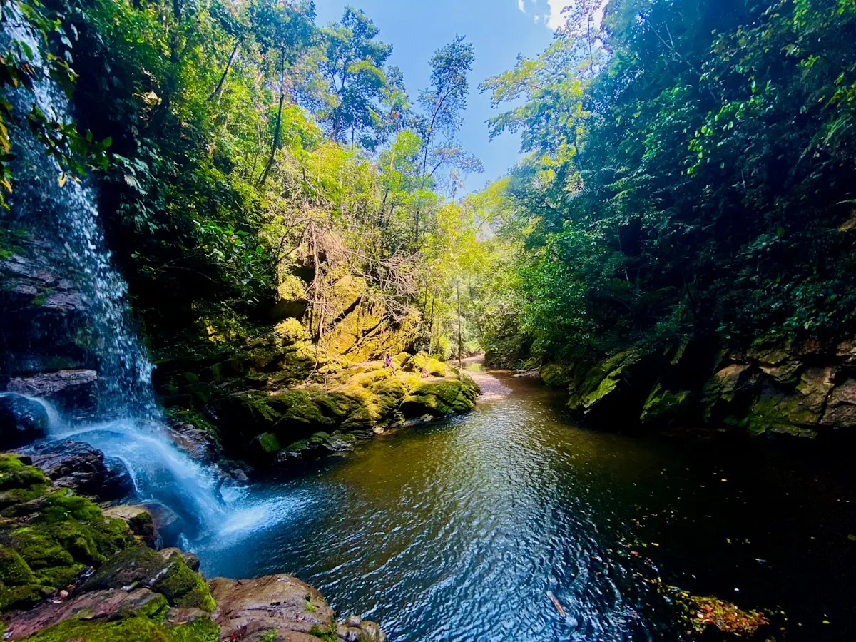 The Peruvian Amazon rainforest — Peru honeymoon